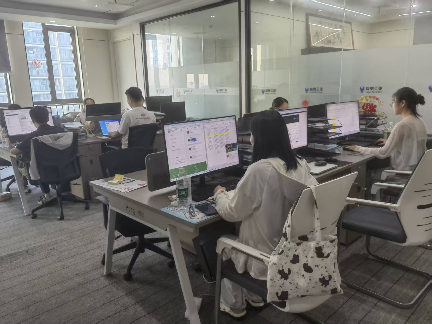 Hubei Fugui Automation Professional Office Team & Working Environment