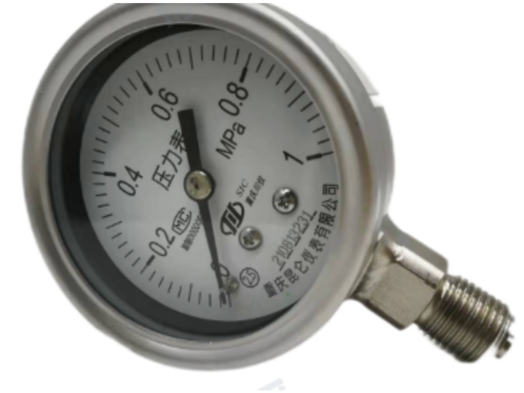 Chongqing Chuanyi-Stainless -steel- pressure -gauge-YTH-100