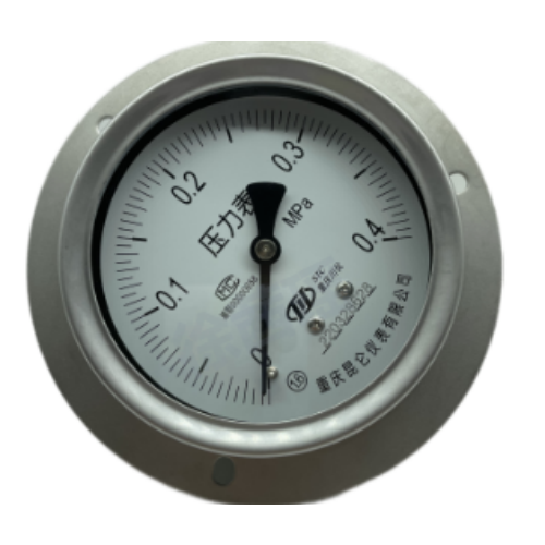 YTH-100 Series 100mm All Stainless Steel Industrial Bourdon Tube Pressure Gauge Manufacturer