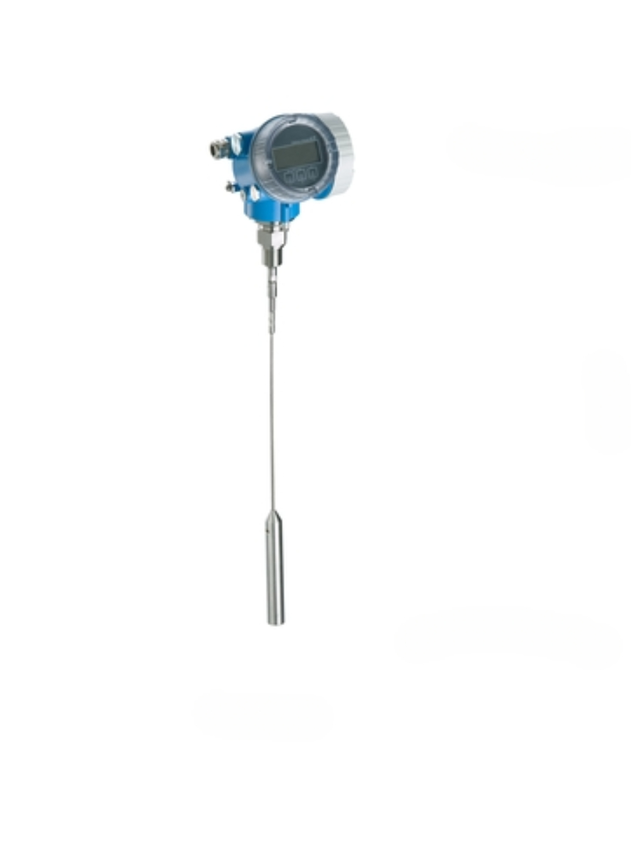 Endress+Hauser Levelflex FMP56
