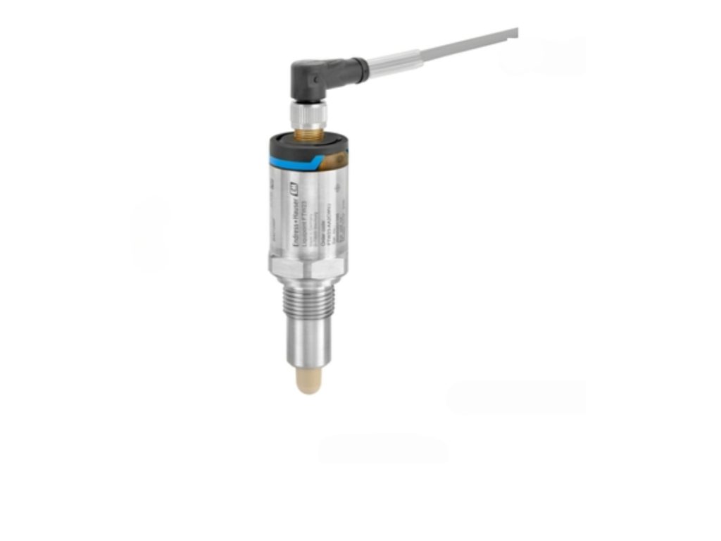 Endress Hauser Liquipoint FTW23 capacitance point level switch for liquids